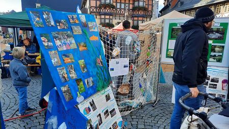 Stände und Personen zum Umweltmarkt auf dem Marktplatz in Wernigerode