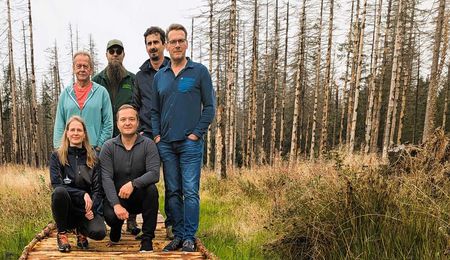 Eine Gruppe von Personen steht auf dem frisch sanierten Holzweg des Wurmbergstieges