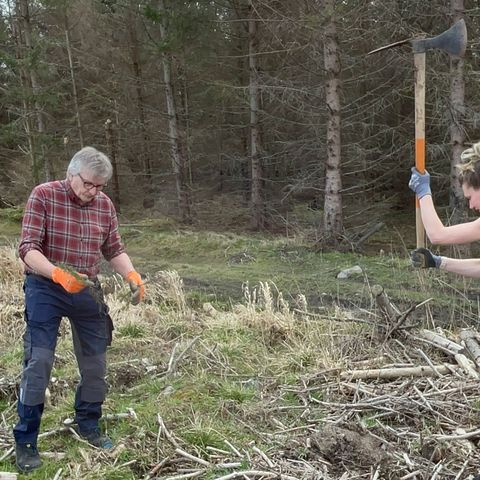 Mitarbeitende der WTG bei einer Baumpflanzaktion im Stadtforst Wernigerode