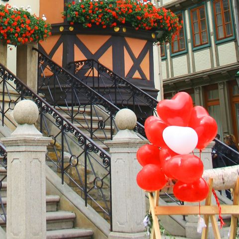Vor dem Rathaus in Wernigerode steht ein Holzbock mit Luftballons geschmückt.