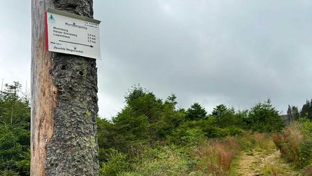 Ein Schild an einem Baum zeigt die Richtung des Wurmbergstieges an.