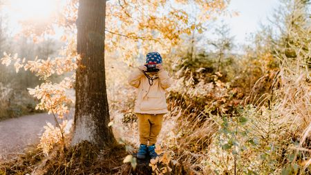 Ein Kind steht im Herbstwald mit einer Kamera vor dem Gesicht und schaut in unsere Richtung.