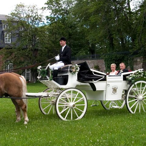 Eine Hochzeitskutsche steht auf dem Rasen im Lustgarten Wernigerode.