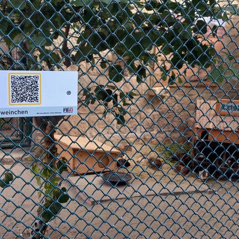 Am Zaun des Wildtiergeheges ist ein Schild mit einem QR-Code zur Rallye durch den Wildpark Christianental angebracht.