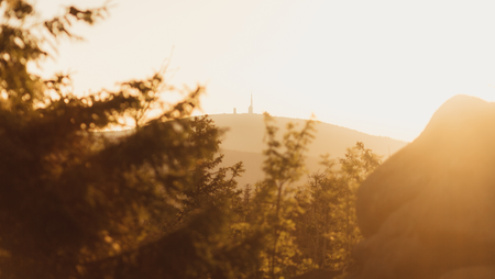 Wald bei Sonnenuntergang mit Brocken im Hintergrund