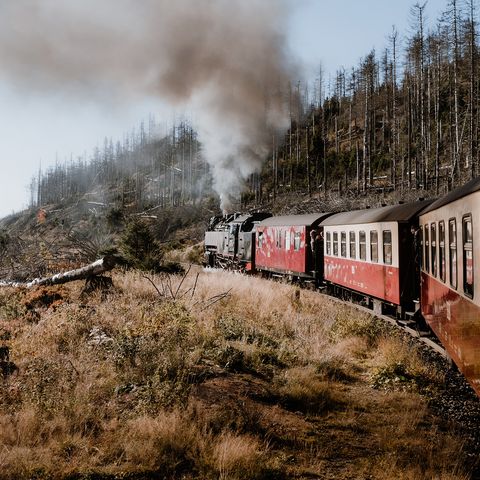 Ein Zug der Harzer Schmalspurbahnen fährt in einer Rechtskurve durch den herbstlichen Wald Richtung Brocken im Harz.